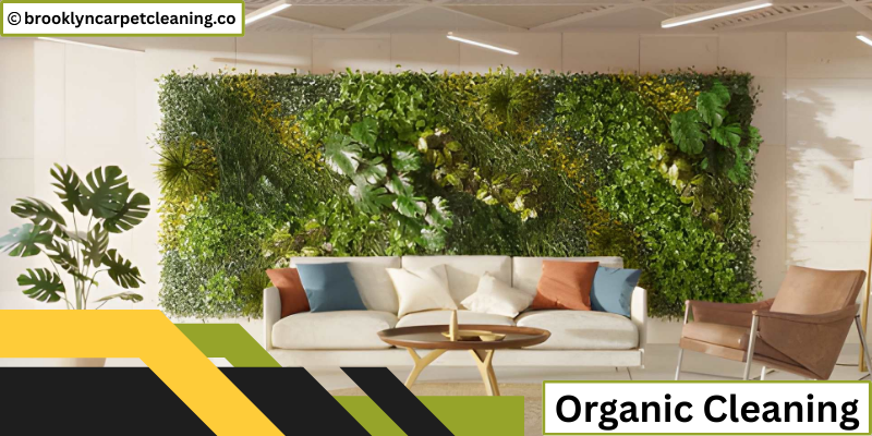 Organic Cleaning
