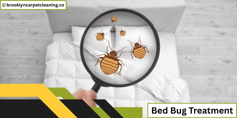 Bed Bug Treatment