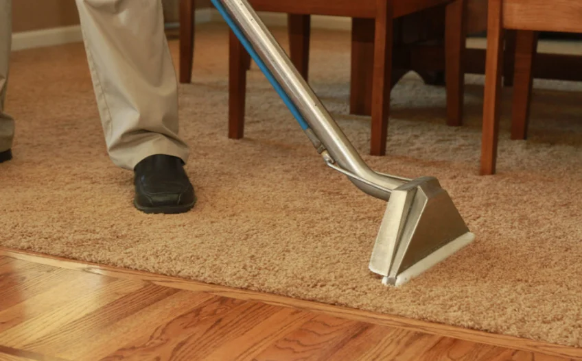 Best Wool Carpet Cleaner in Brooklyn A 2026 Guide For Locals